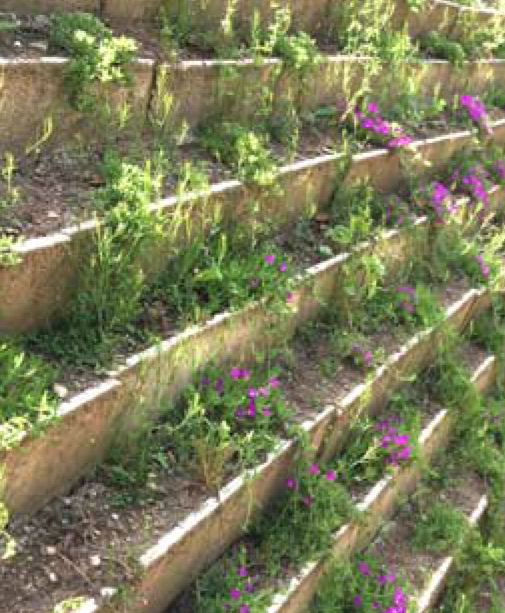Greensteep Planters Greensteep Planters