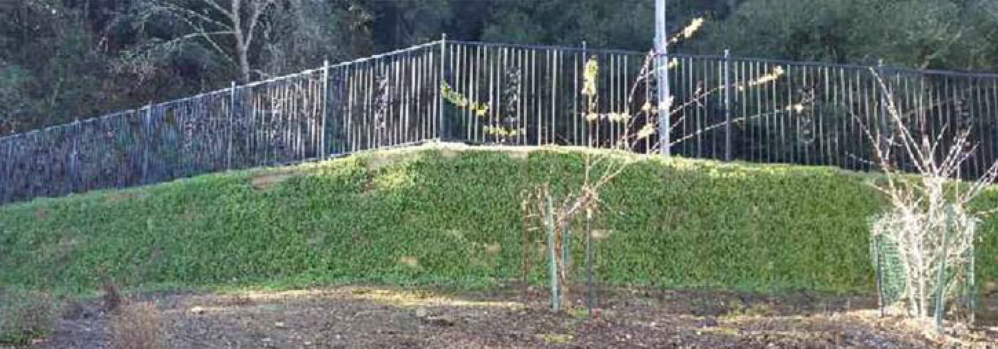 Greensteep Slope Greensteep Slope